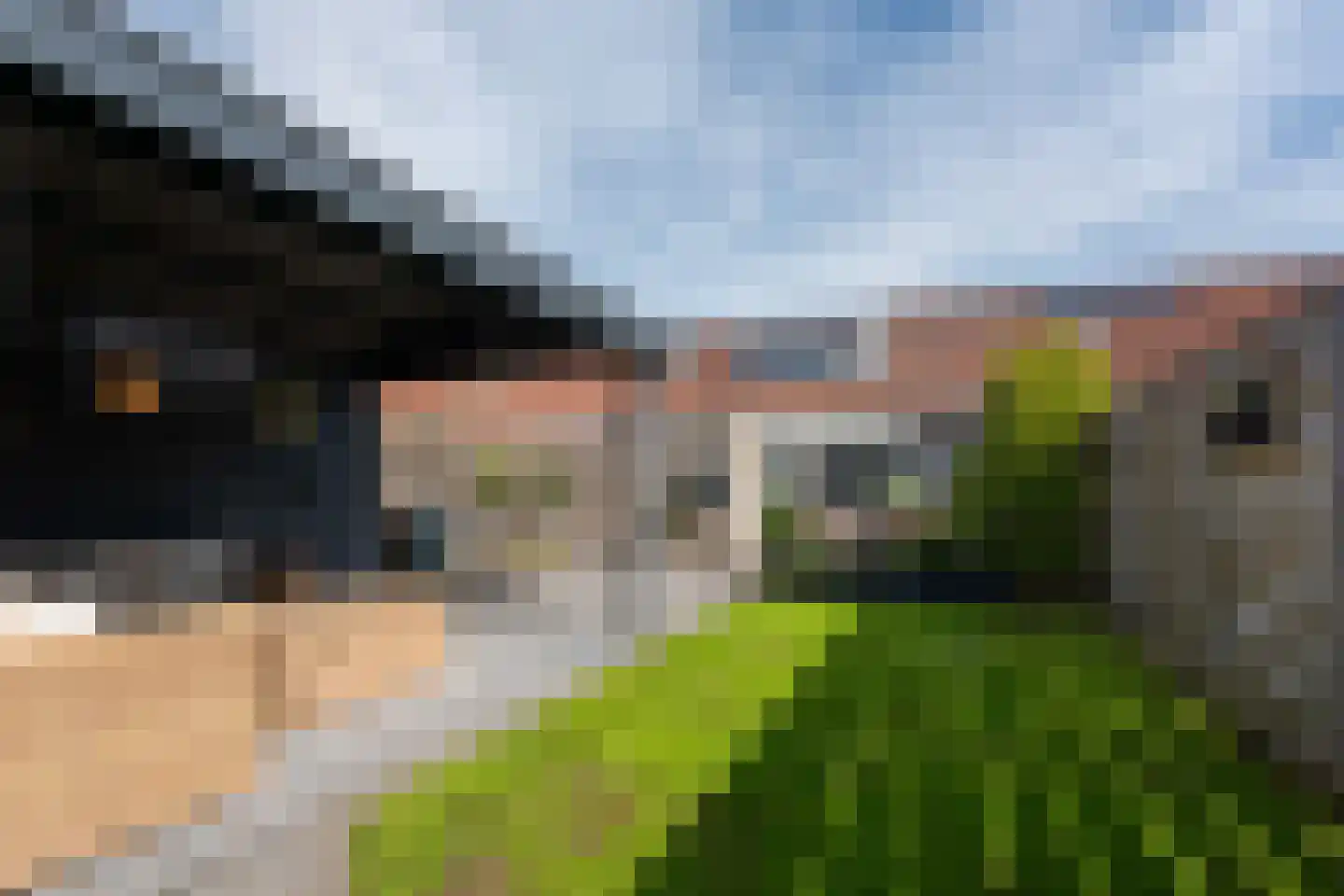 Wylp 12 Ureterp thumbnail 44