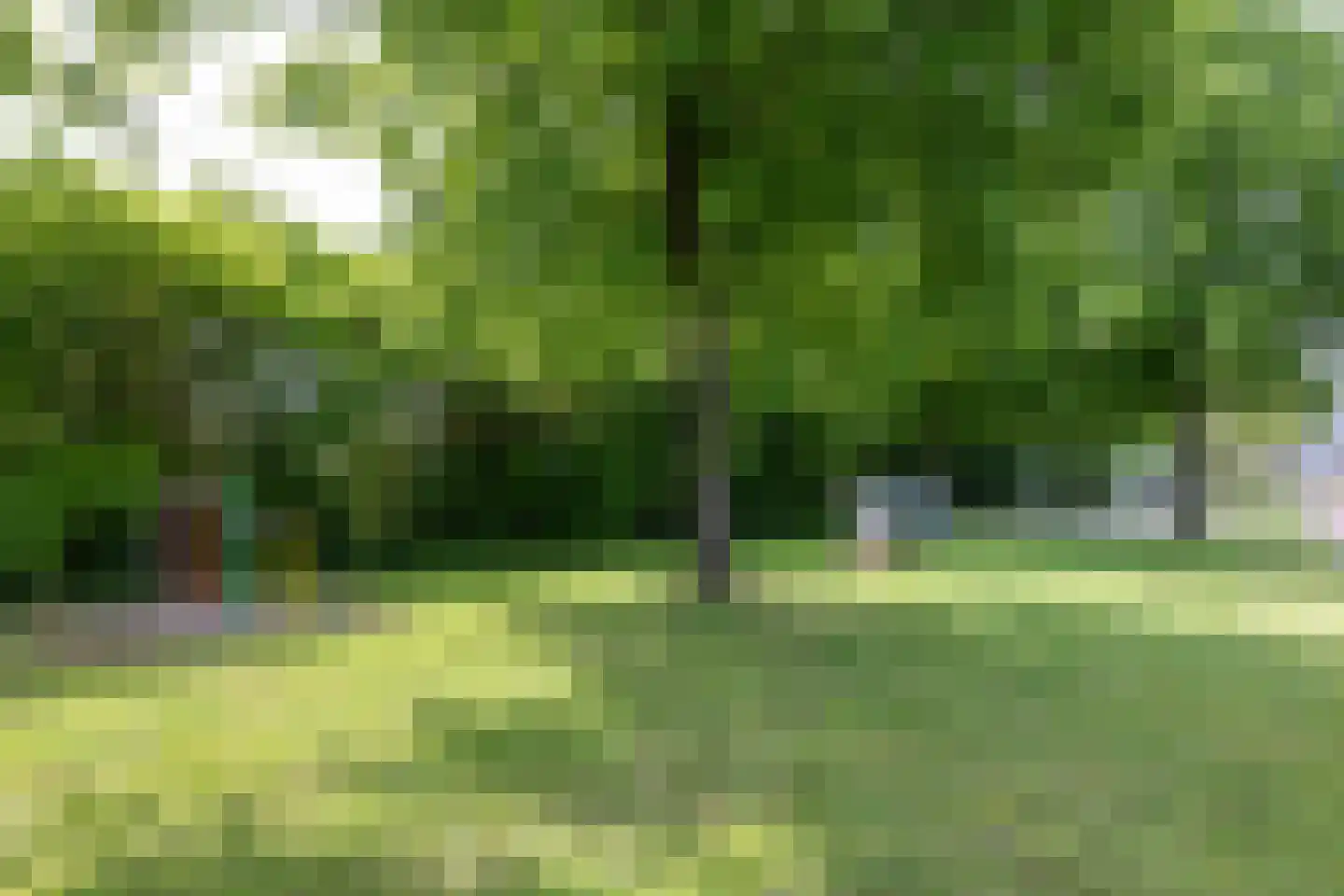Wylp 12 Ureterp thumbnail 46