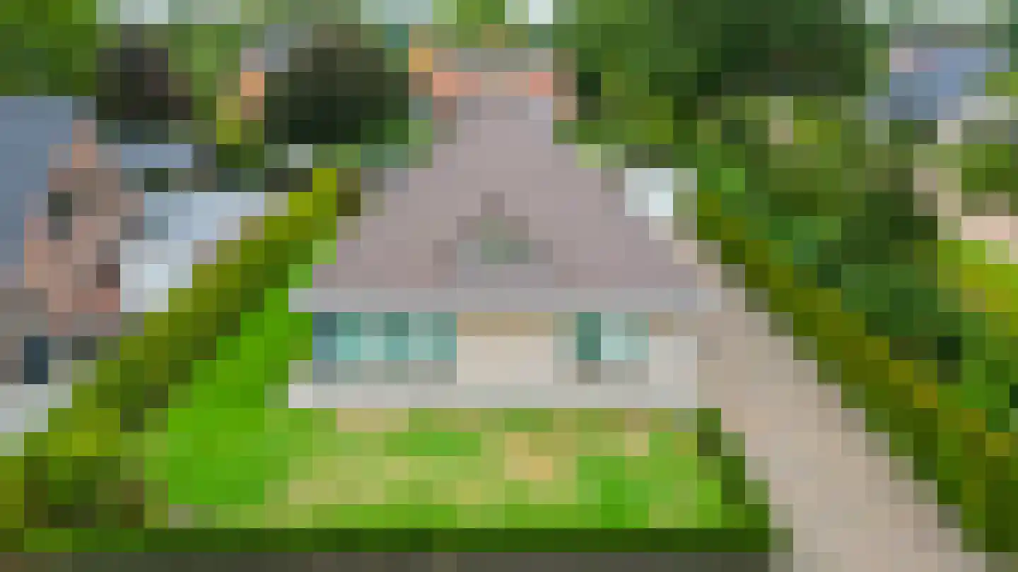 Wylp 19 Ureterp thumbnail 41