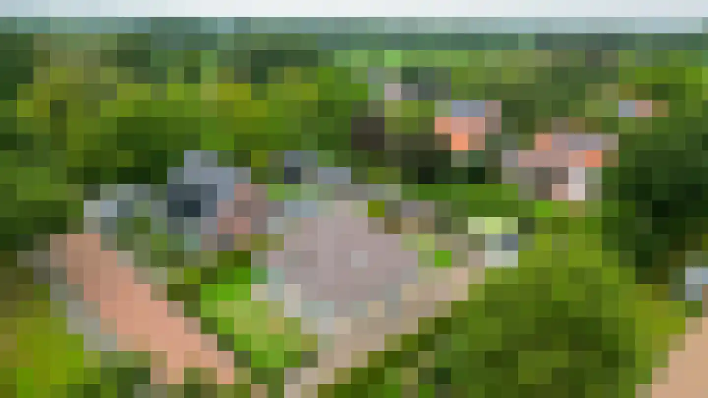 Wylp 19 Ureterp thumbnail 42