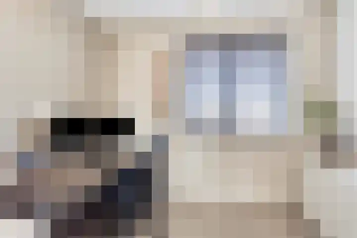 Wylp 3 Dronryp thumbnail 17