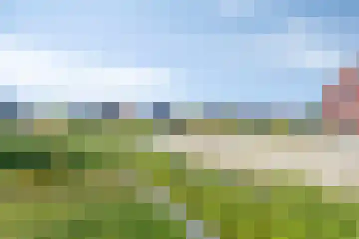 Wylp 3 Dronryp thumbnail 28