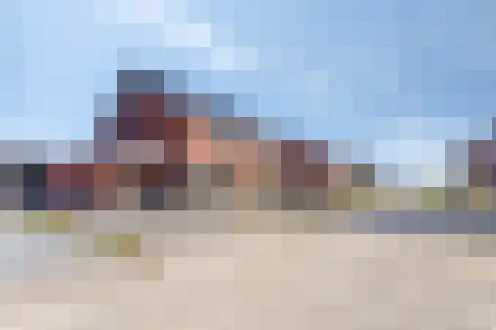 Wylp 3 Dronryp foto 3