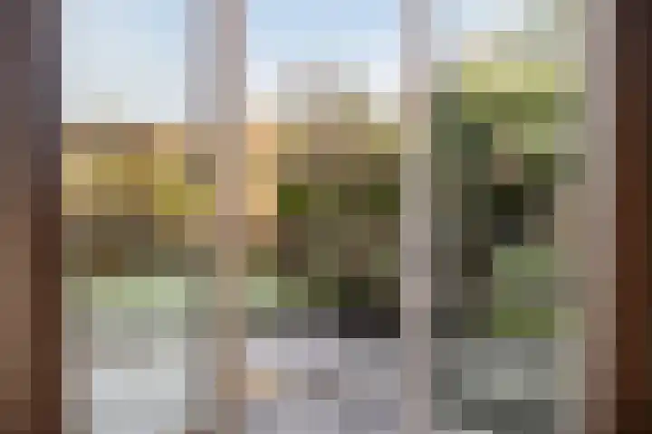 Wylp 43 Ureterp thumbnail 22