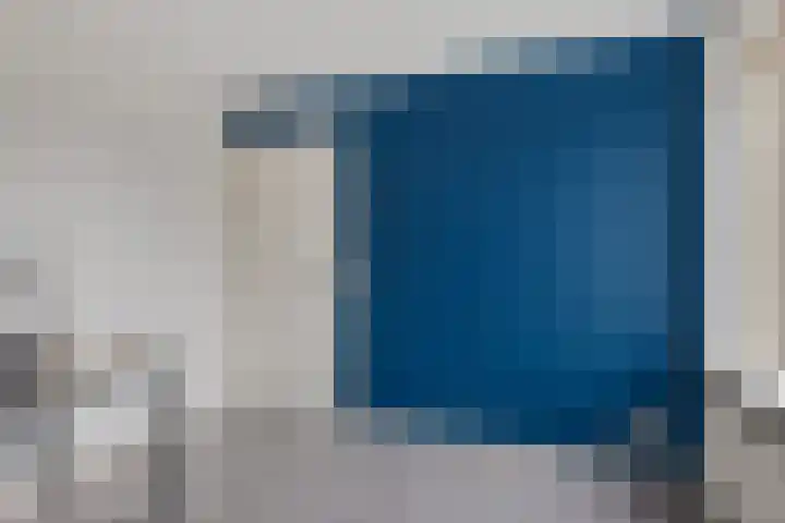 Wylp 43 Ureterp thumbnail 33