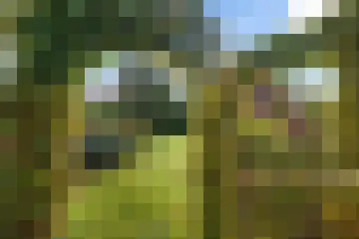 Wylp 43 Ureterp thumbnail 42