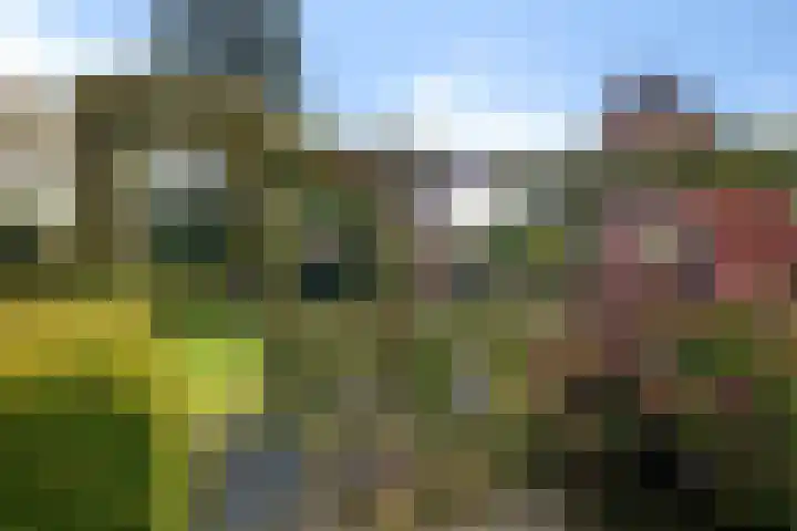 Wylp 43 Ureterp thumbnail 43