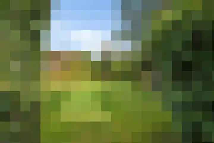 Wylp 43 Ureterp thumbnail 44