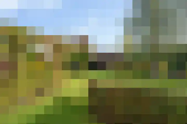 Wylp 43 Ureterp thumbnail 45