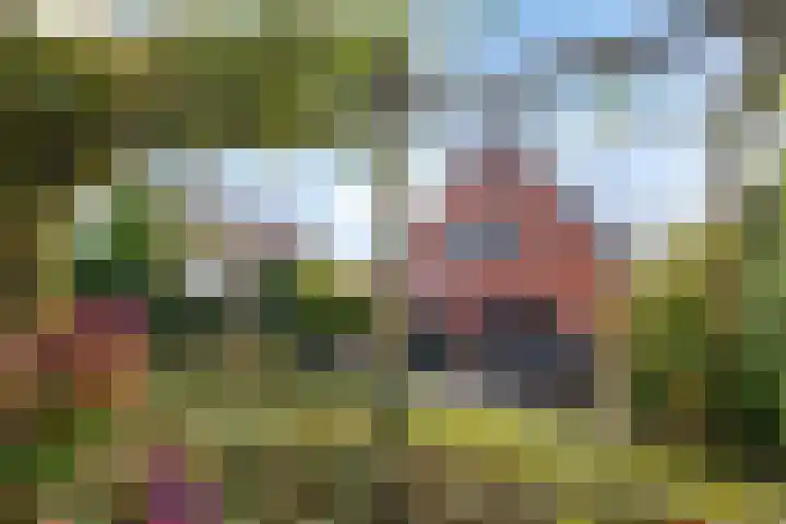 Wylp 43 Ureterp thumbnail 46