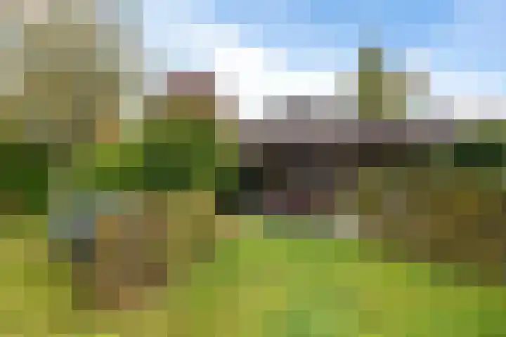 Wylp 43 Ureterp thumbnail 49