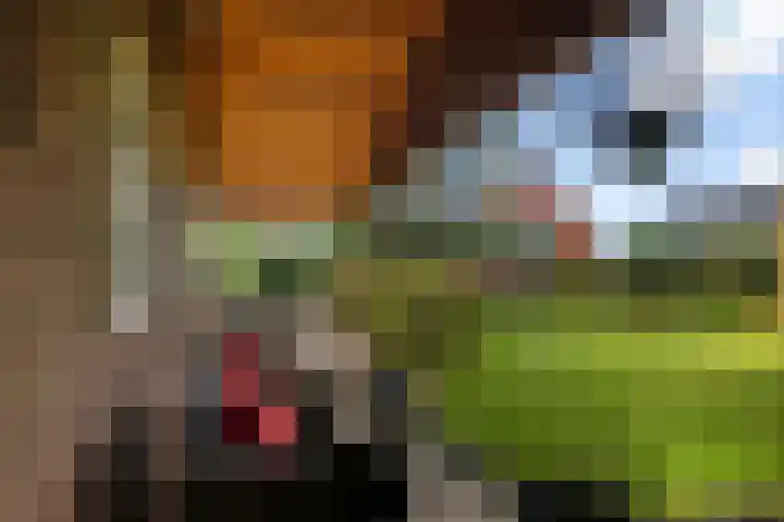 Wylp 43 Ureterp thumbnail 51