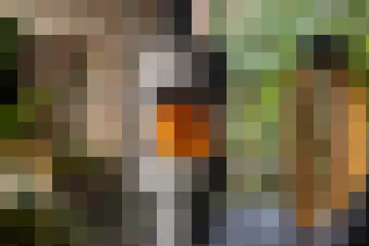 Wylp 43 Ureterp thumbnail 8