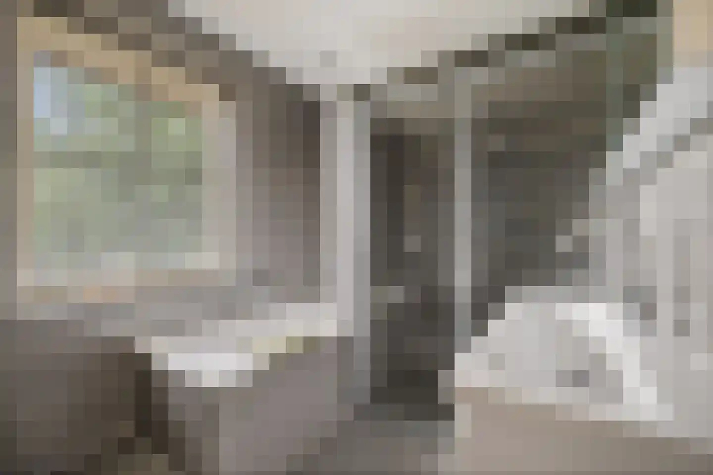Wylp 48 Ureterp thumbnail 22