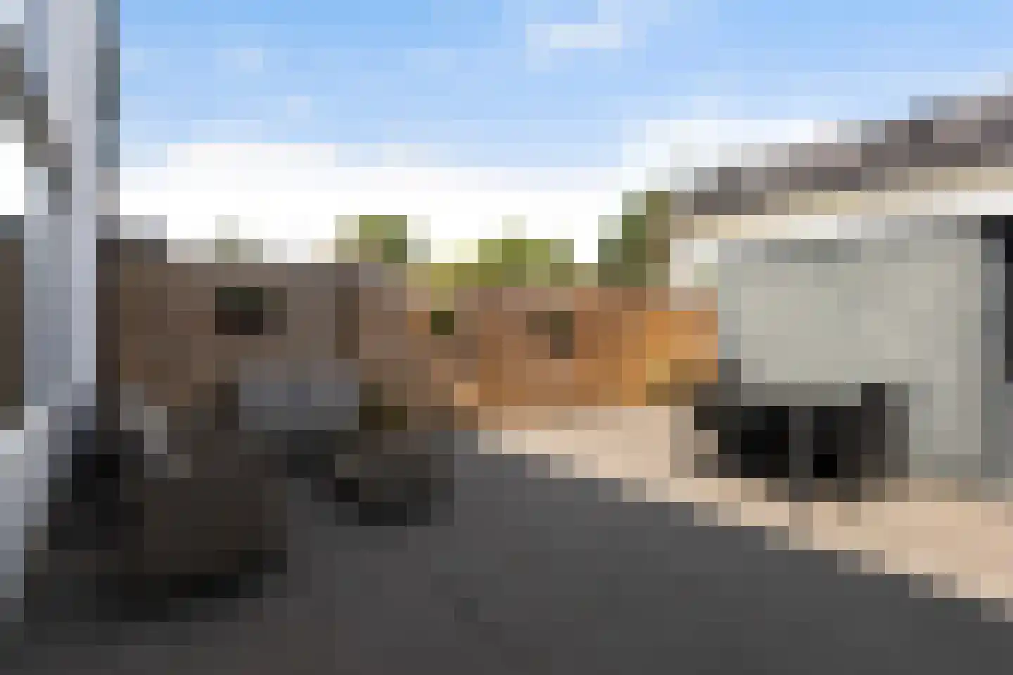 Wylster 15 Dokkum thumbnail 35