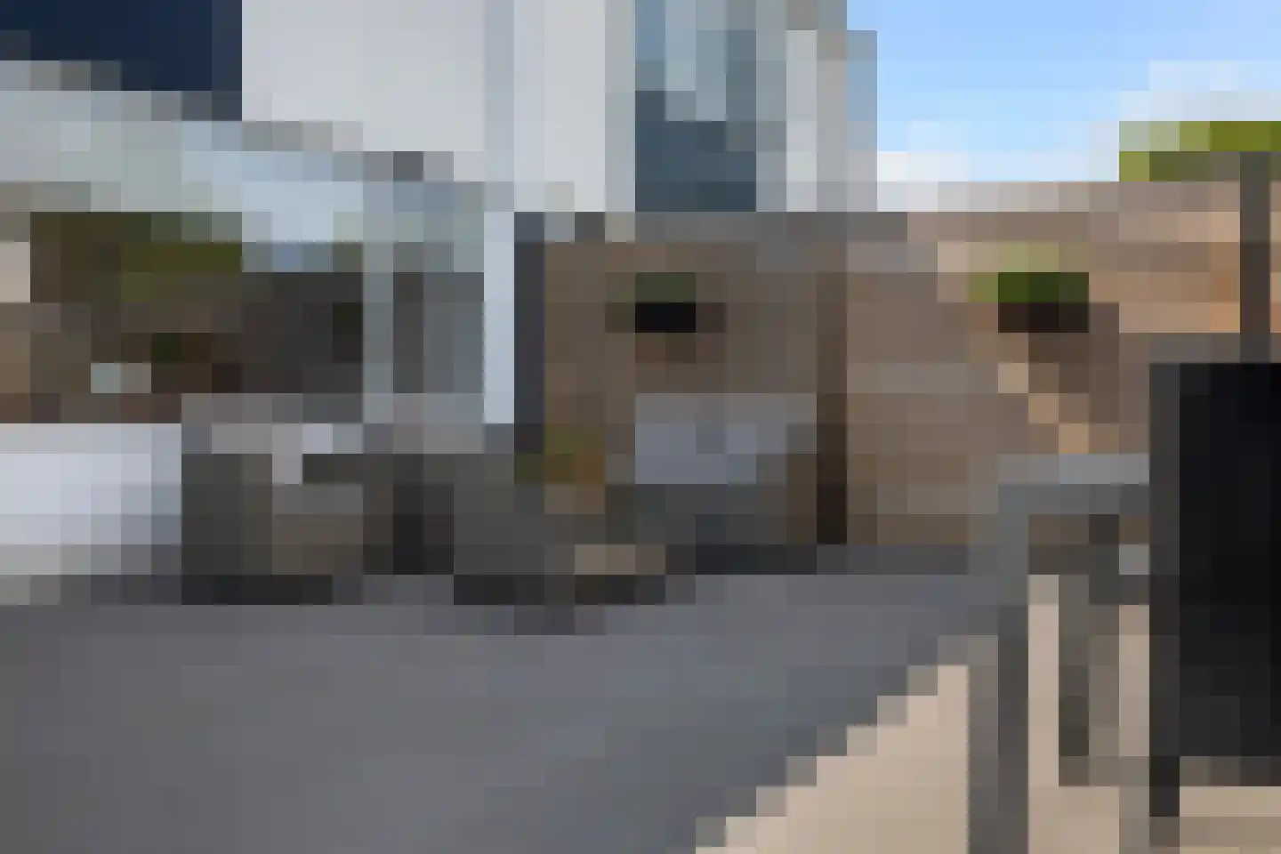 Wylster 15 Dokkum thumbnail 38