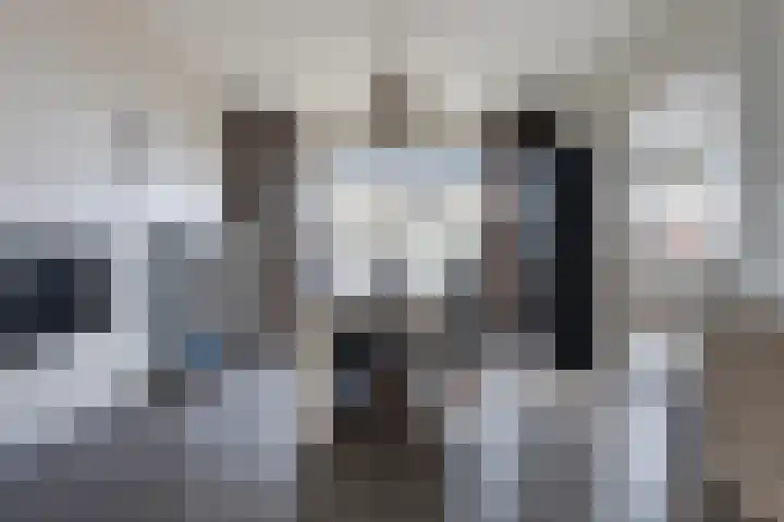 Wylster 17 Dokkum thumbnail 12