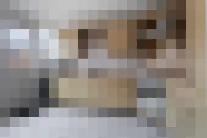 Wylster 17 Dokkum thumbnail 14