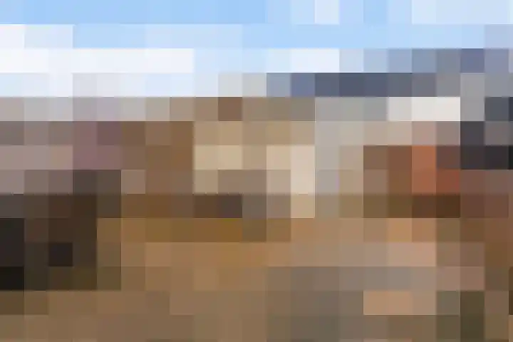 Wylster 17 Dokkum thumbnail 18
