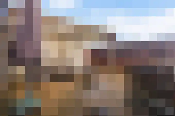 Wylster 17 Dokkum thumbnail 19