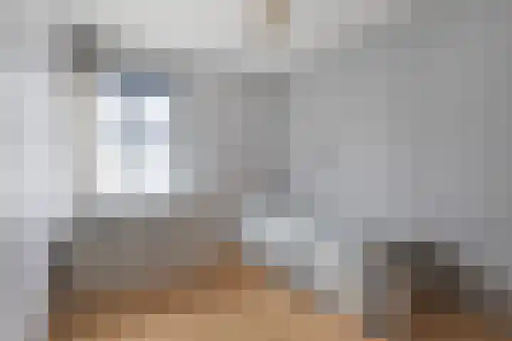 Wylster 17 Dokkum thumbnail 27