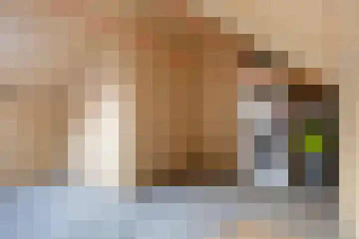 Wylster 17 Dokkum thumbnail 34