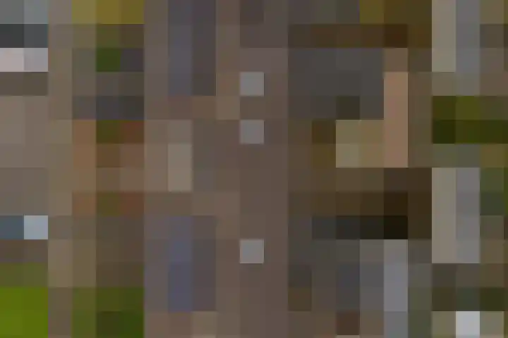 Wylster 17 Dokkum thumbnail 35