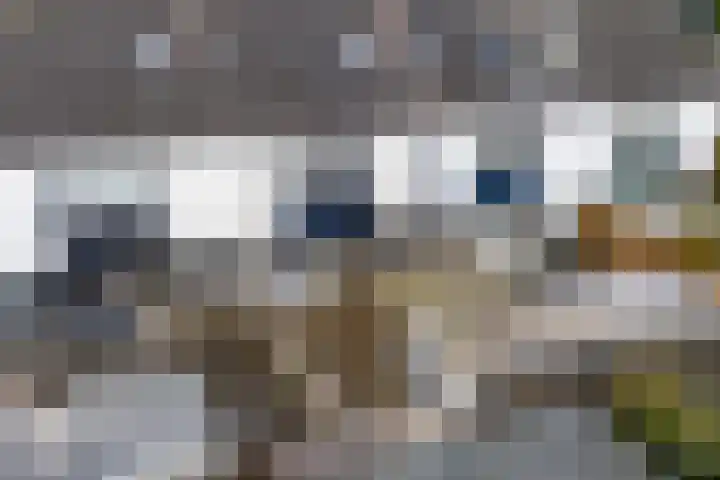 Wylster 17 Dokkum thumbnail 36