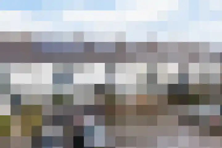 Wylster 17 Dokkum thumbnail 4