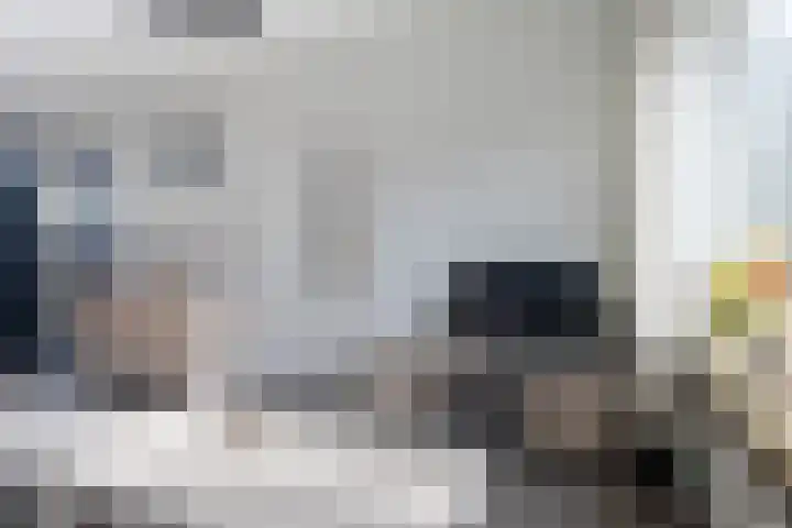 Wylster 17 Dokkum thumbnail 9