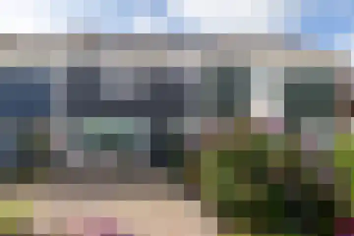 Wylster 28 Dokkum thumbnail 10