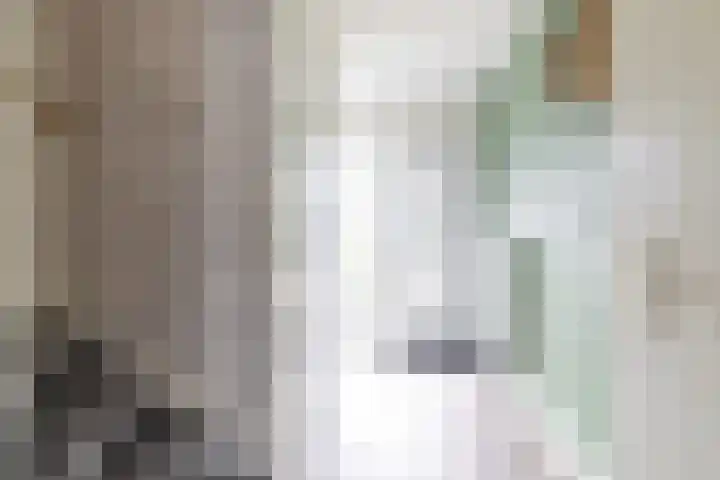 Wylster 28 Dokkum thumbnail 11