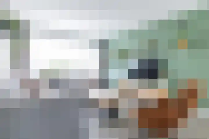 Wylster 28 Dokkum thumbnail 15
