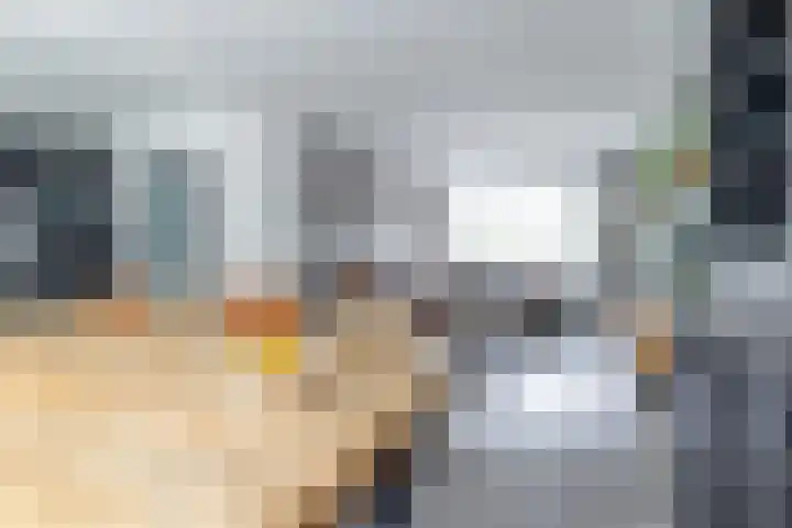 Wylster 28 Dokkum thumbnail 18