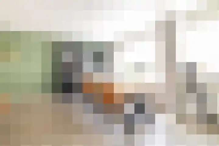 Wylster 28 Dokkum thumbnail 20