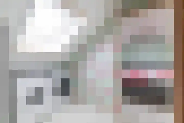 Wylster 28 Dokkum thumbnail 38
