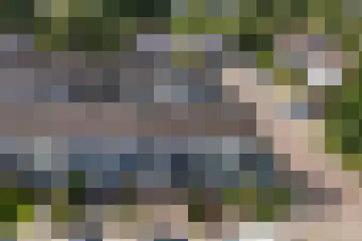 Wylster 28 Dokkum thumbnail 4