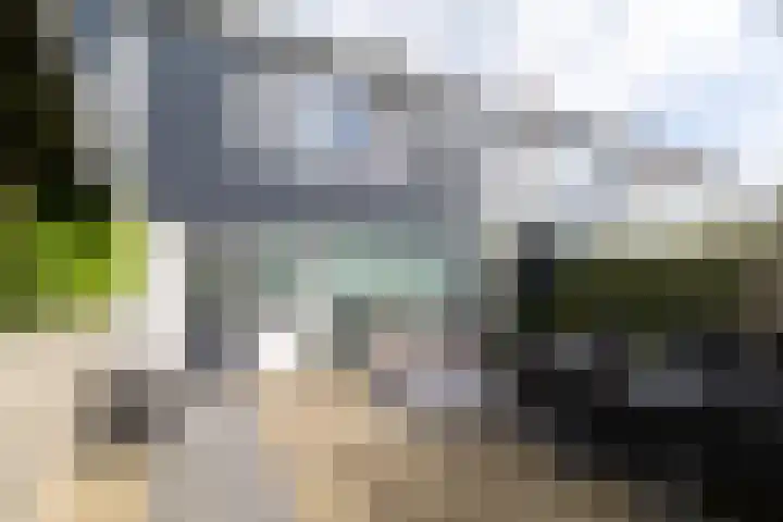 Wylster 28 Dokkum thumbnail 40