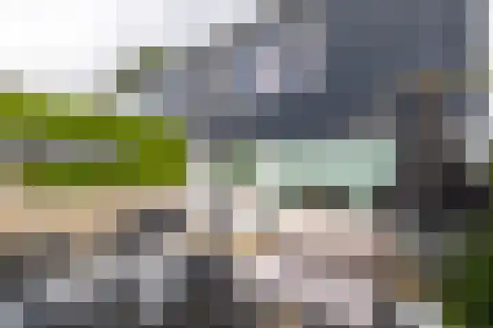 Wylster 28 Dokkum thumbnail 41