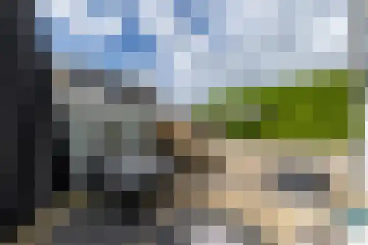 Wylster 28 Dokkum thumbnail 42