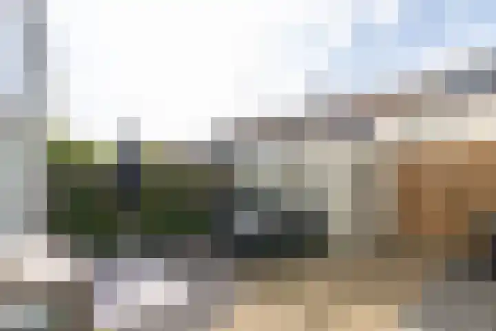 Wylster 28 Dokkum thumbnail 43
