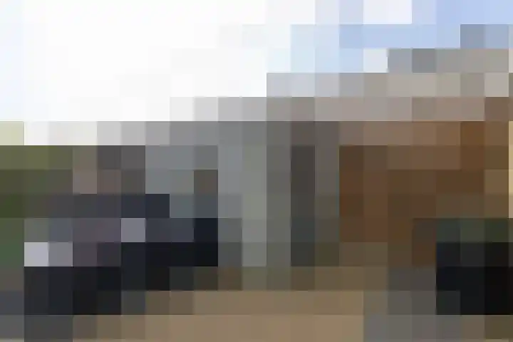 Wylster 28 Dokkum thumbnail 44