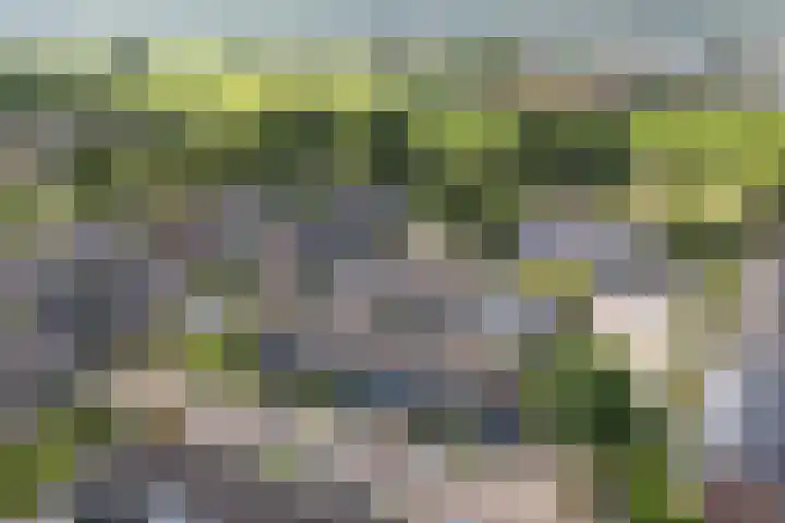 Wylster 28 Dokkum thumbnail 5