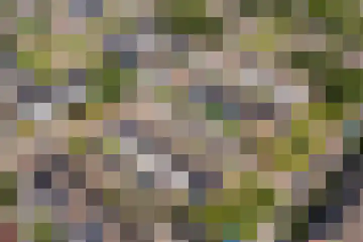 Wylster 28 Dokkum thumbnail 6