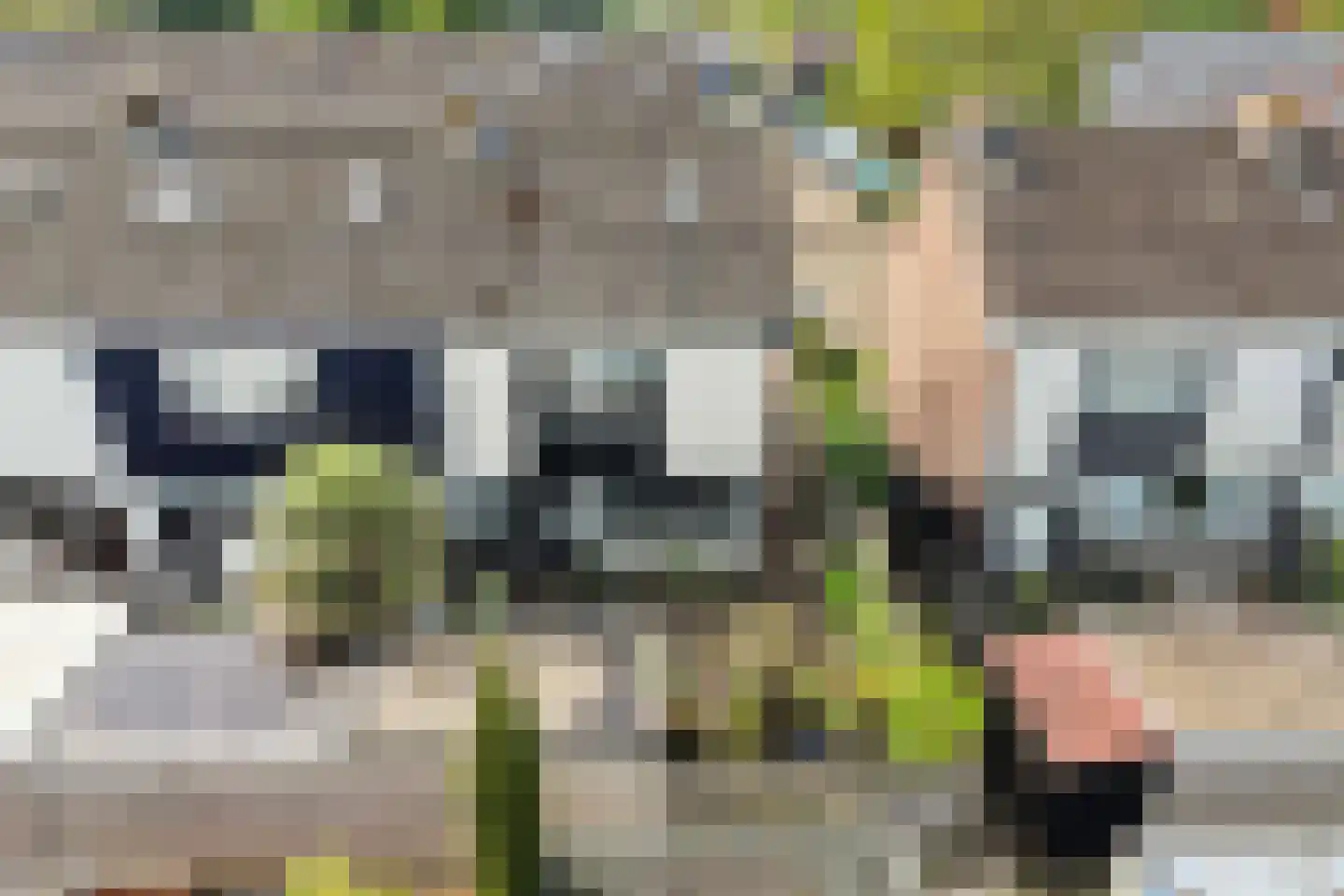Wylster 35 Dokkum thumbnail 10