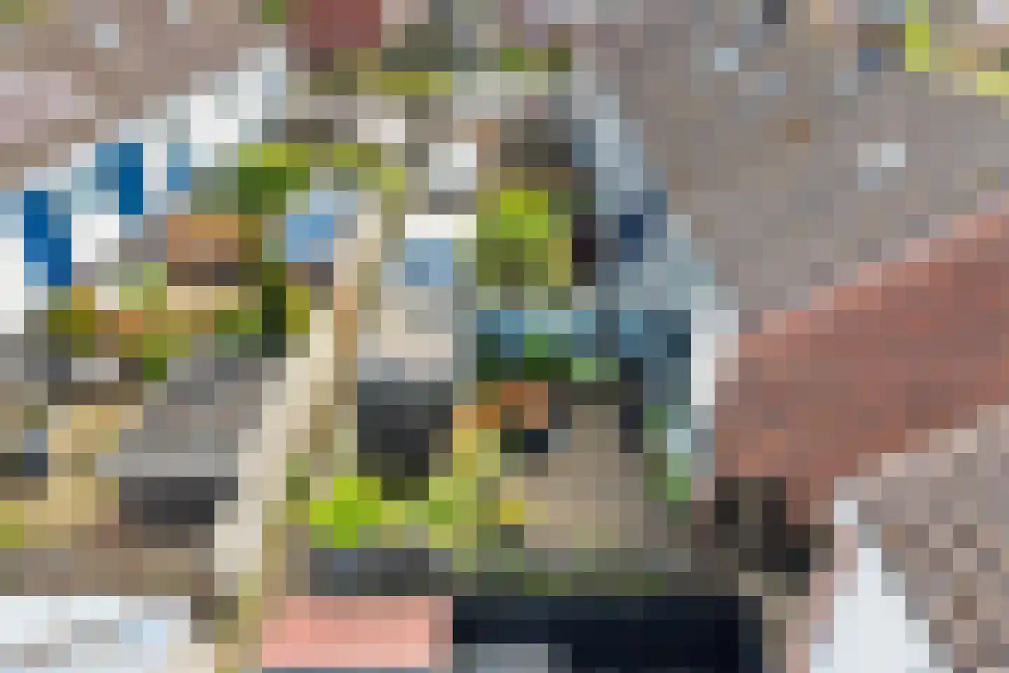 Wylster 35 Dokkum thumbnail 12