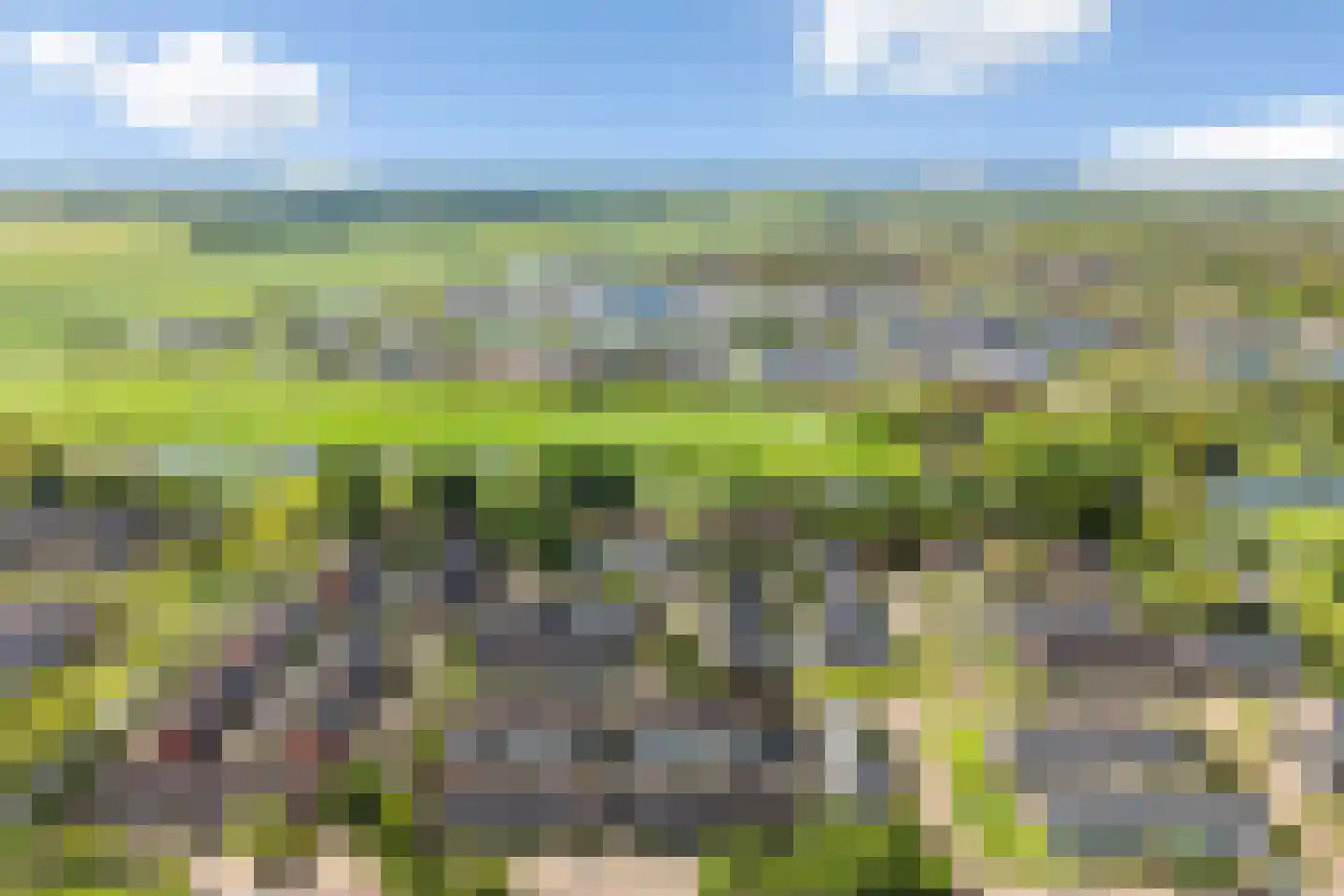 Wylster 35 Dokkum thumbnail 41