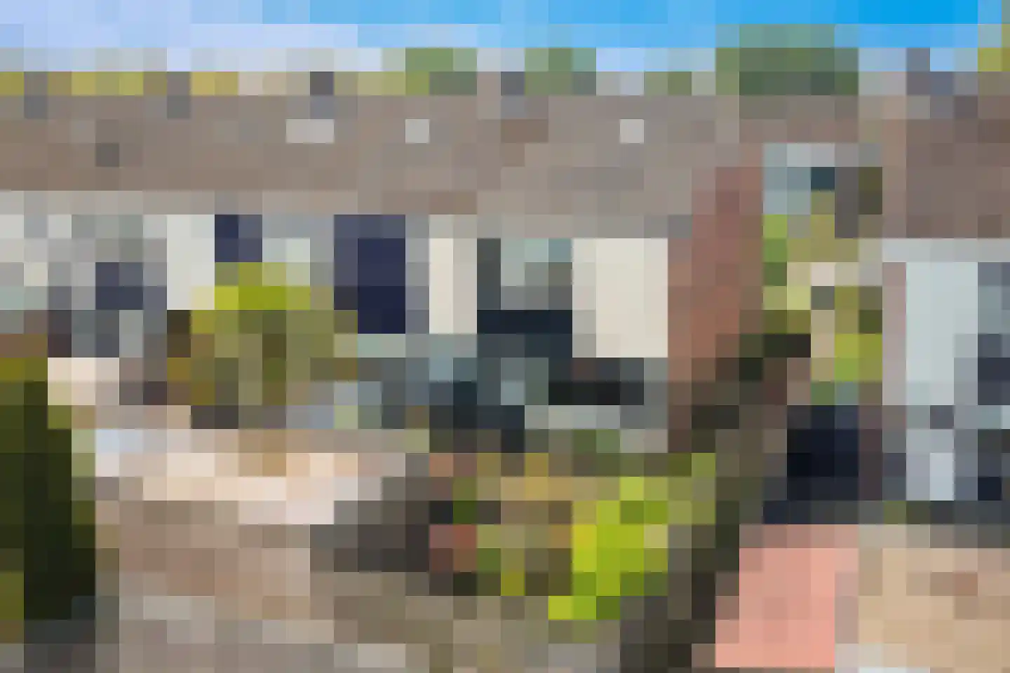 Wylster 35 Dokkum thumbnail 9