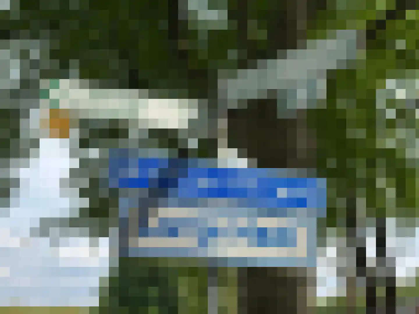 Wymeersterweg Bellingwolde thumbnail 10