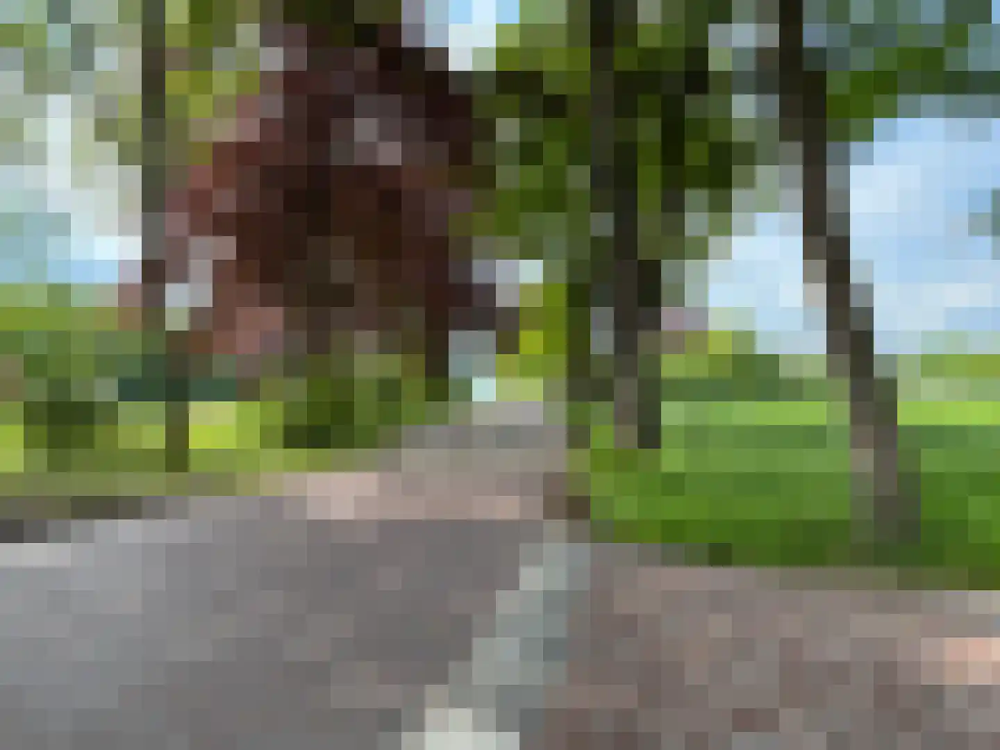 Wymeersterweg Bellingwolde thumbnail 11